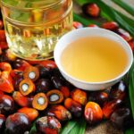 Malaysian Palm Oil Futures Take a Dip as Exports Lag Behind Expectations