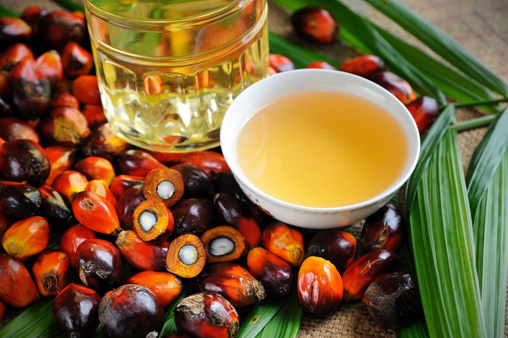 Malaysian palm oil futures