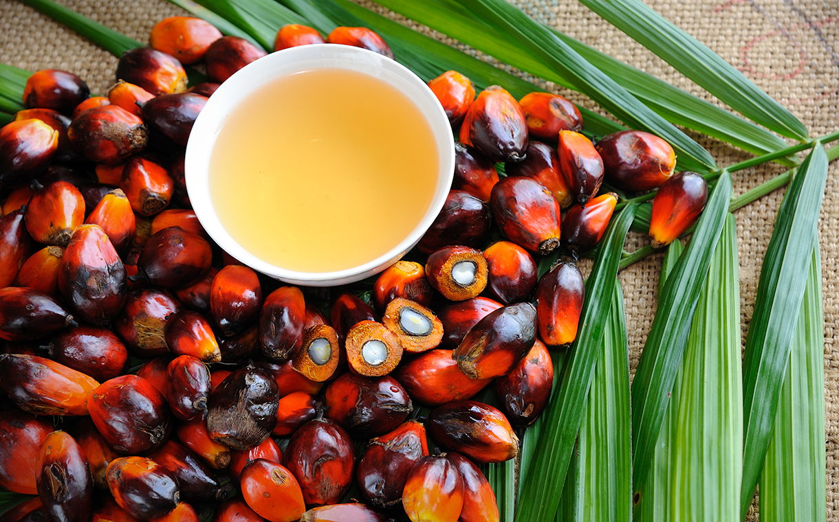 Palm oil market