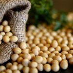 Soybean Market Trends and Projections | April 17, 2024
