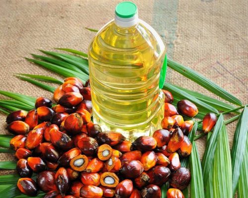 Palm Oil Futures FCPO Updates & Factors Influencing Decline | April 25, 2024