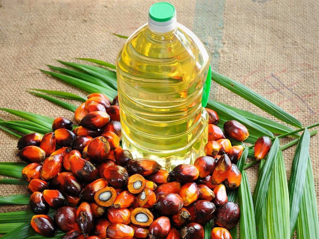 Palm oil futures