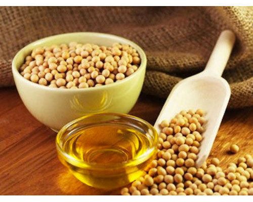Soybean Futures & Market Updates | March 26, 2024