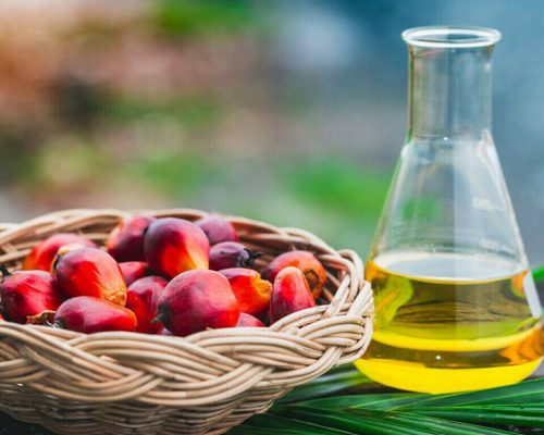 Palm Oil Market Will See More Downtrends After EPA Report ?